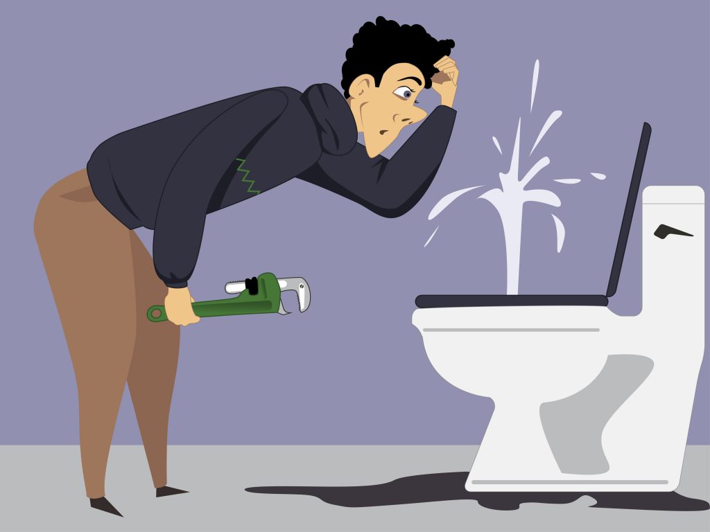 Leaking Toilet